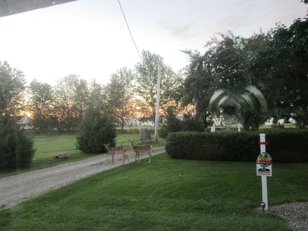 Gite Les Acres Tranquilles B&B Port-Daniel Εξωτερικό φωτογραφία