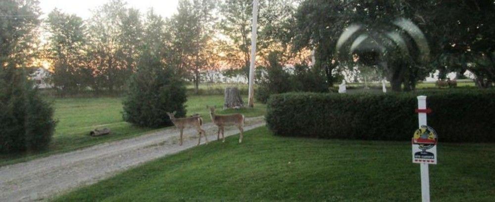Gite Les Acres Tranquilles B&B Port-Daniel Εξωτερικό φωτογραφία